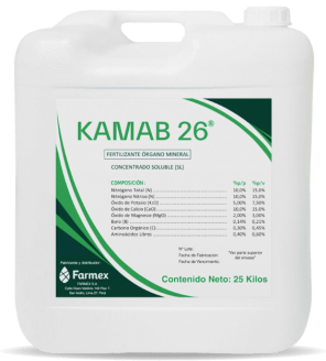 Group 427326866 (2)-min